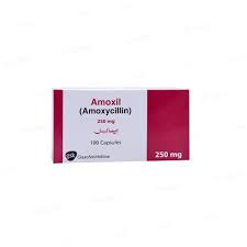 Amoxil 250mg Capsule