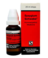 Schwabe Syzygium 20ml (adult-onset Diabetes)