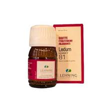 Lehning Ledum Complex 81 Drops 30 Ml (adjuvant Treatment Of Gout)