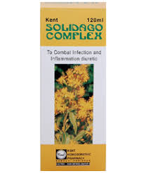 Kent Solidago Syrup 120ml (diuretic, Inflammation & Infection)