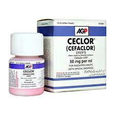 Ceclor 15ml Drop